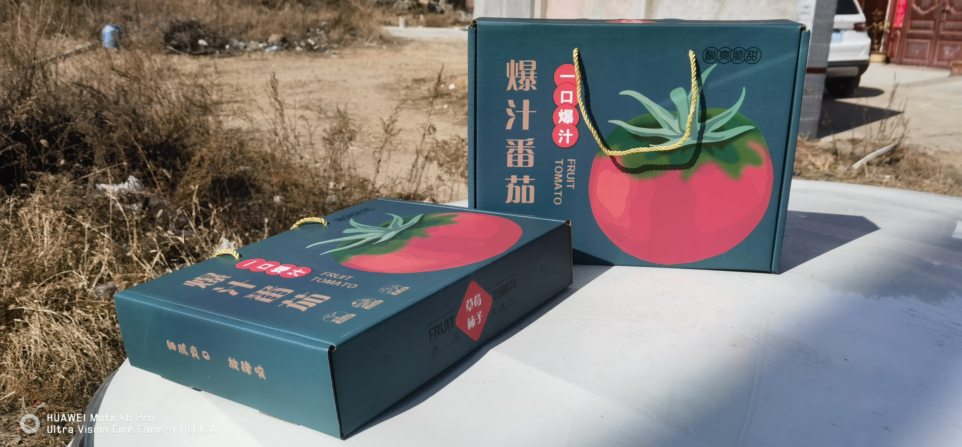 爆汁番茄深湖蓝礼盒户外展示