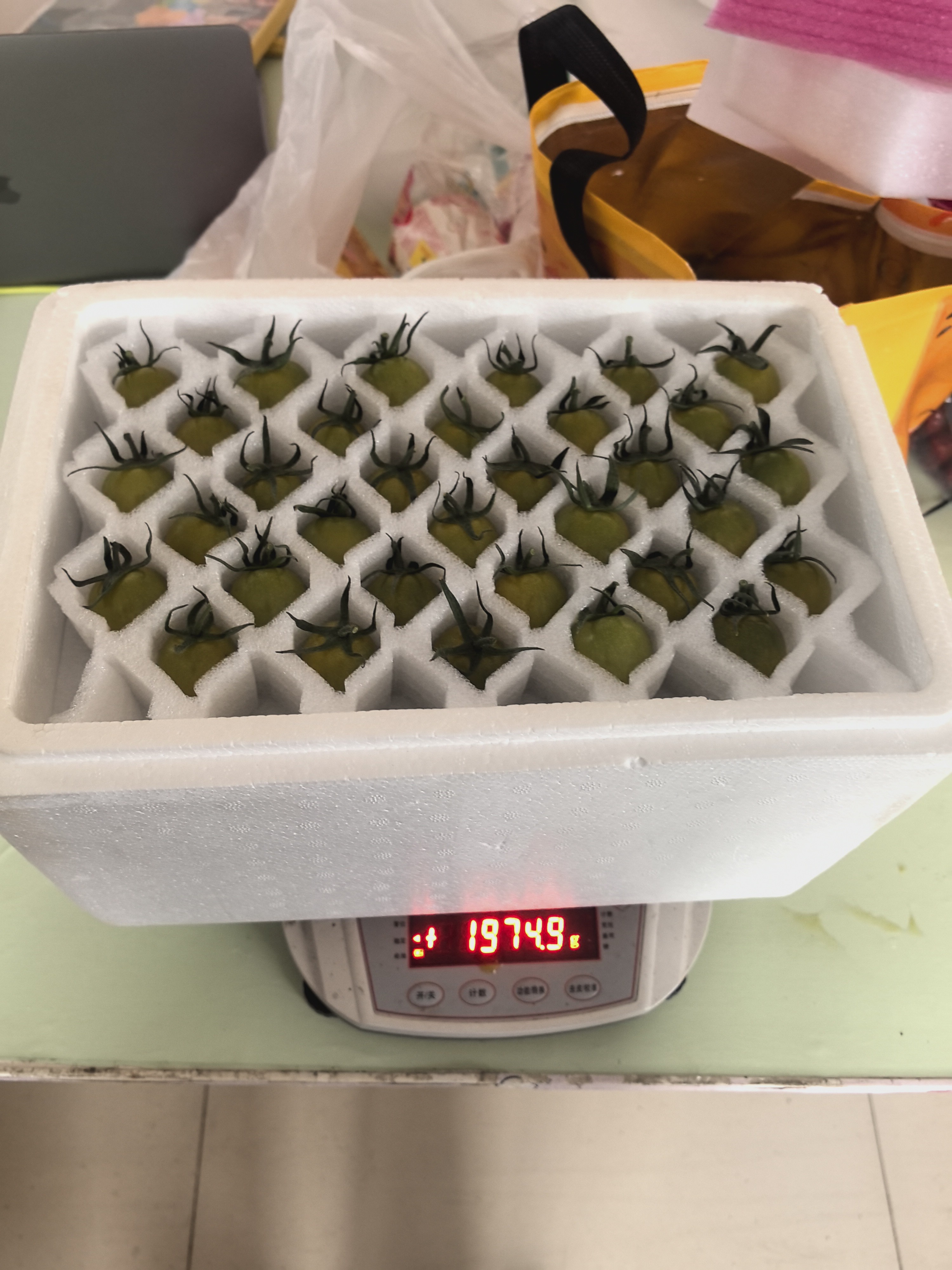 泡沫保鲜盒蜂窝内衬