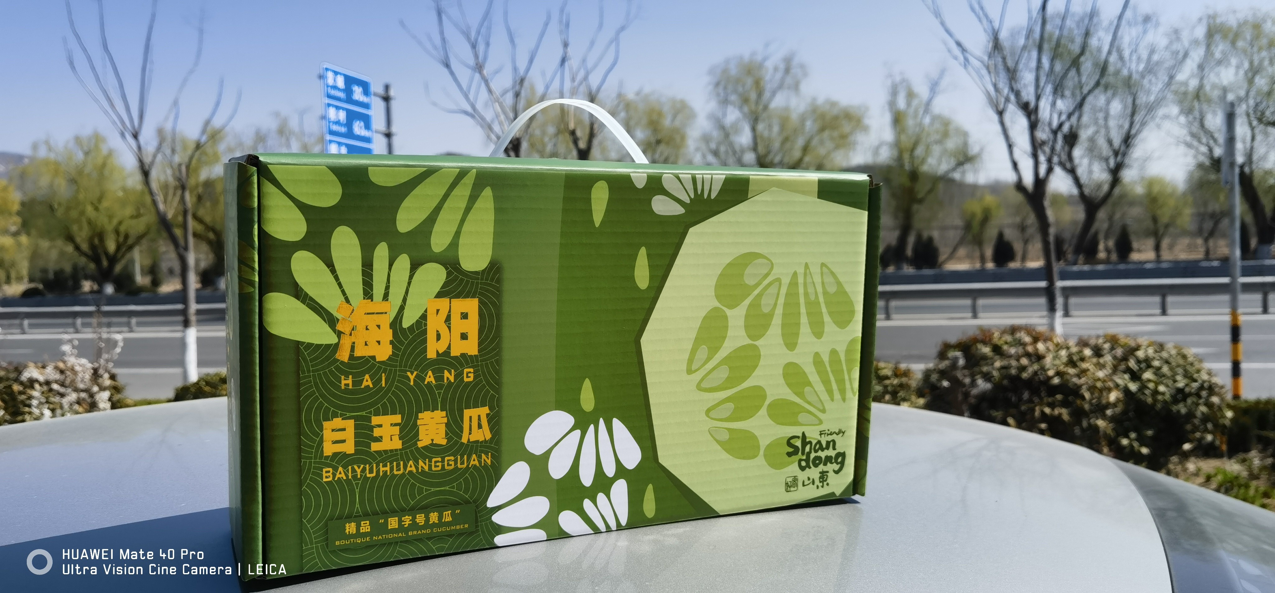 海阳白玉黄瓜深绿浅绿撞色白色提手清新自然礼盒 - 尧晟包装瓜果系列产品