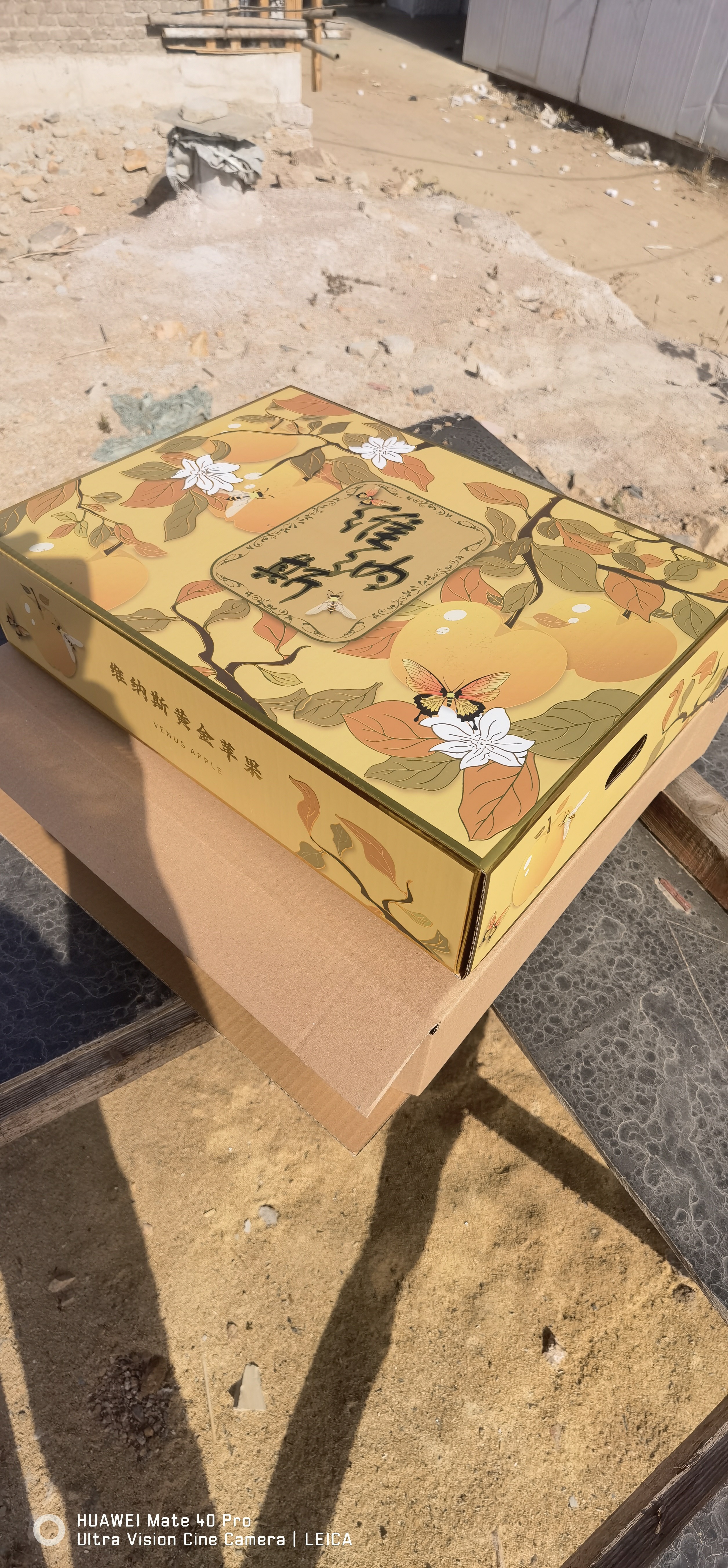 维纳斯苹果暖黄手绘风礼盒