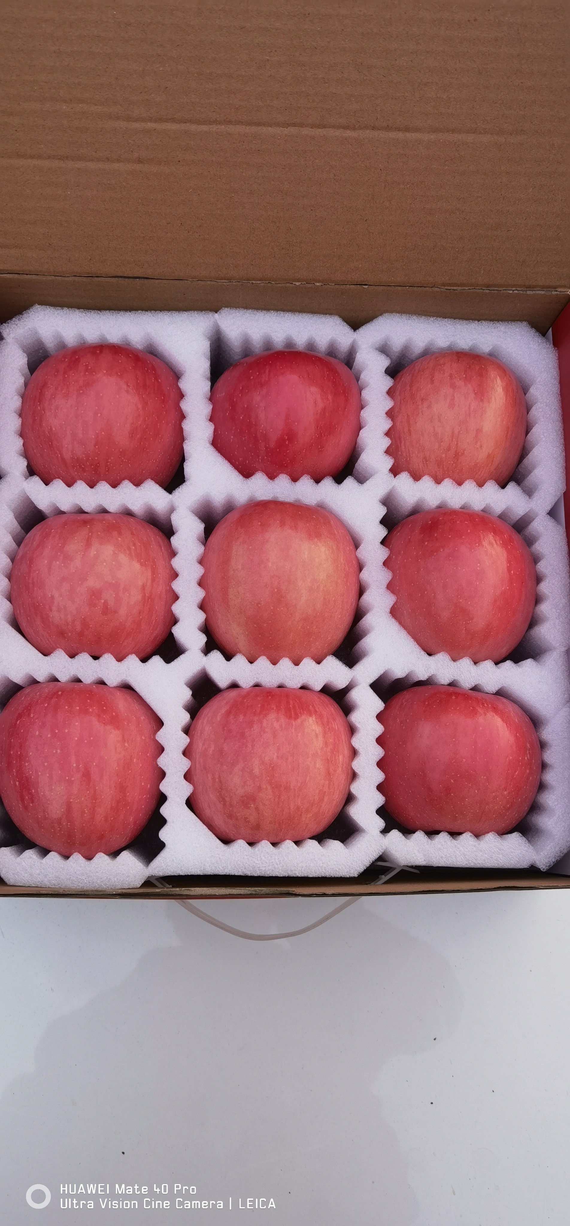 苹果熟了EPE珍珠棉内衬